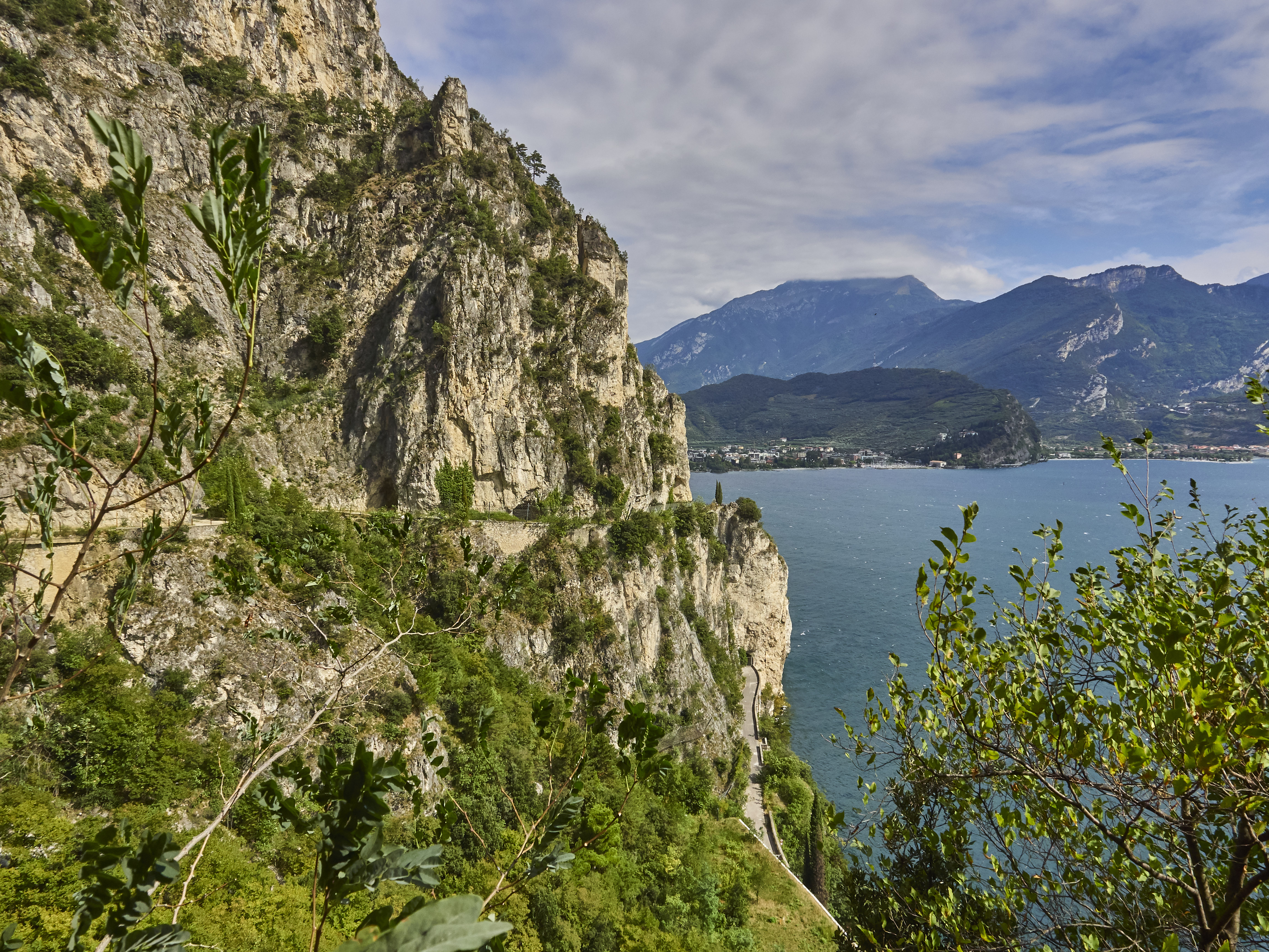 Ledrosee 20 09 19 2 1